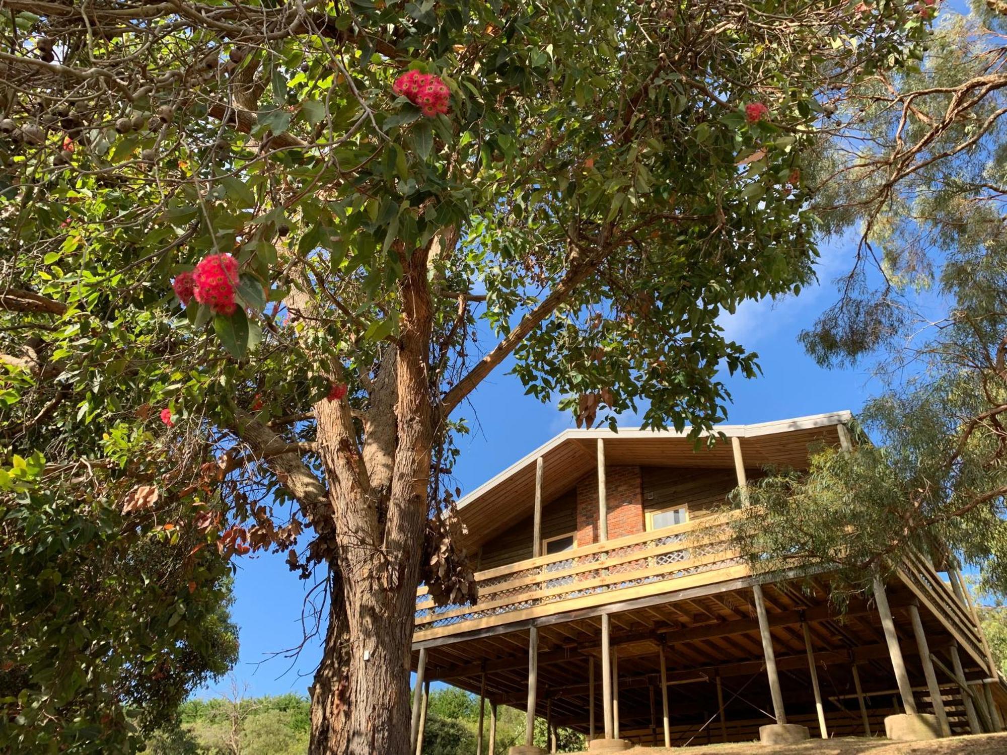 Iluka Retreat Glamping Village Red Hill South Zewnętrze zdjęcie
